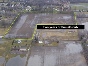  The farm that used SumaGroulx has been outlined in yellow. It has better water infiltration. 