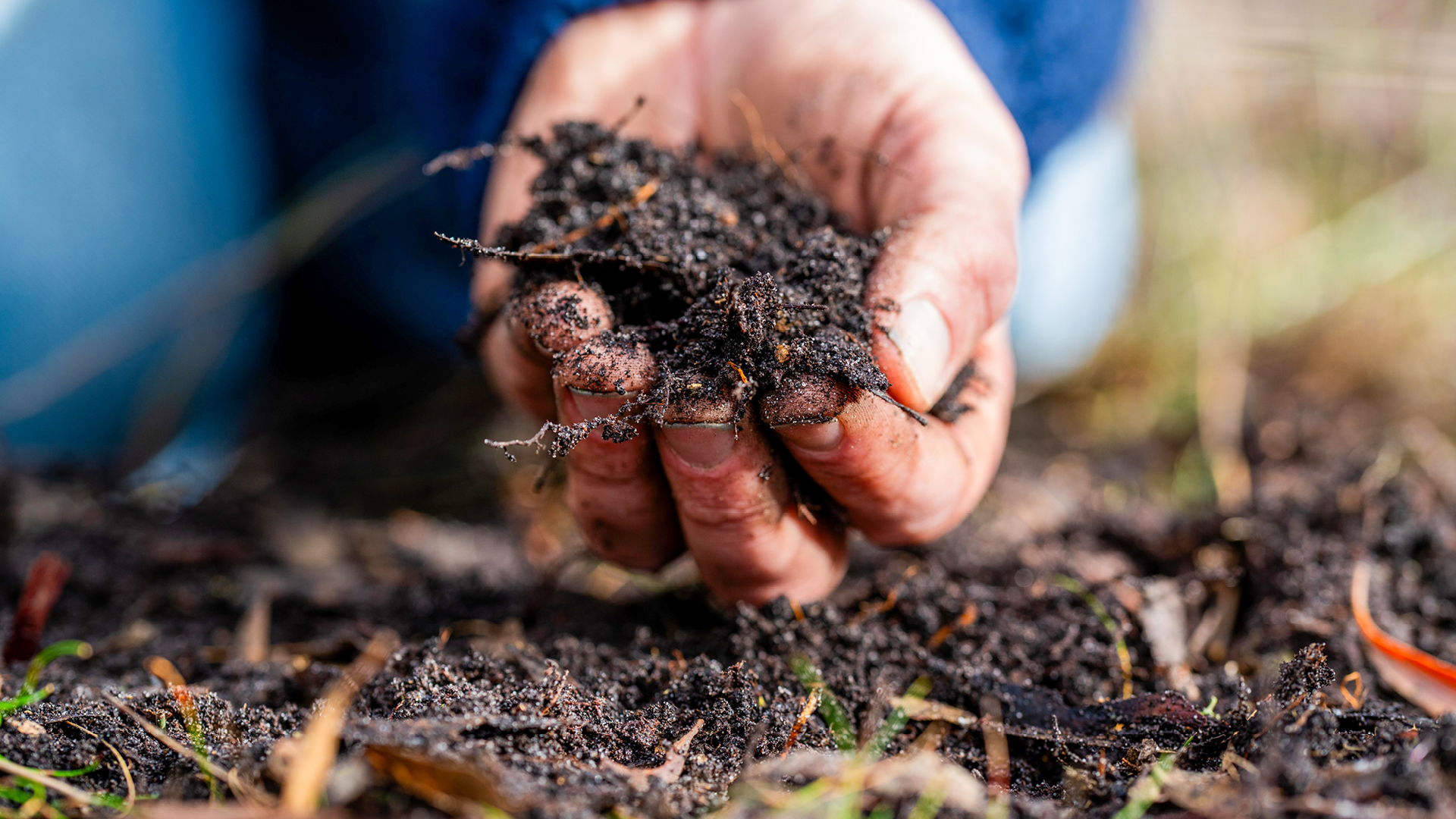 Microbial-Rich Soll after application of Exciter