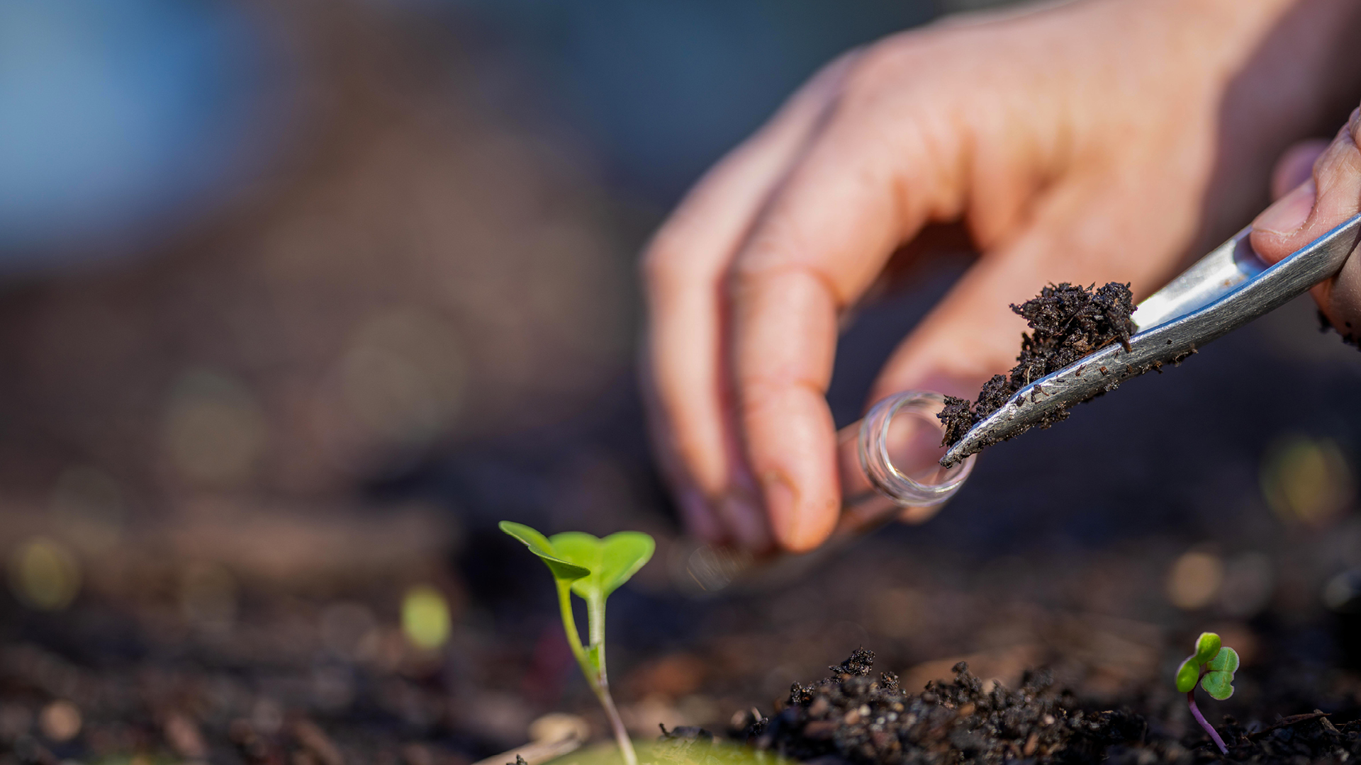 Testing microbial-rich soil that performs beyond 1 crop
